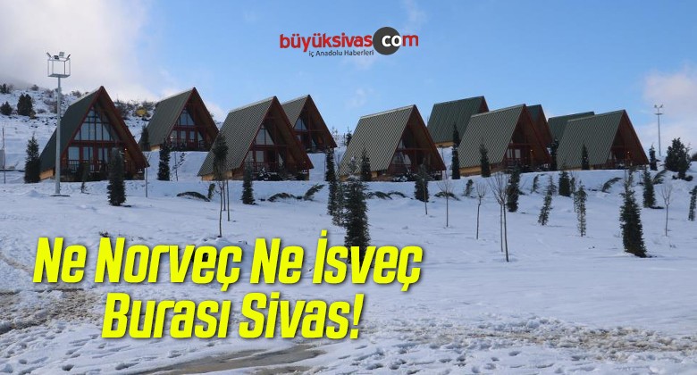 Ne Norveç ne İsveç burası Sivas, ilgi görünce sayısı artırılmaya başlandı