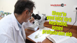 Sivas’ta yeni bitki türü keşfedildi, ismini profesörden aldı