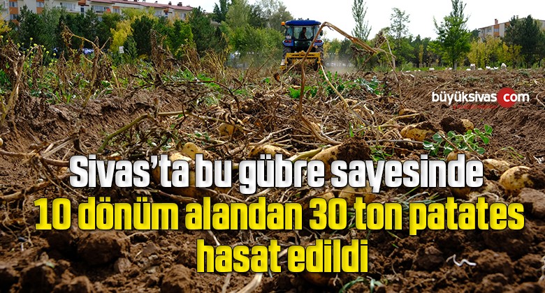 Bu gübre sayesinde 10 dönüm alandan 30 ton patatesi hasat edildi