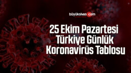 25 Ekim Pazartesi Türkiye Günlük Koronavirüs Tablosu