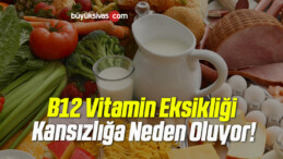 B12 Vitamin Eksikliği Kansızlığa Neden Oluyor!