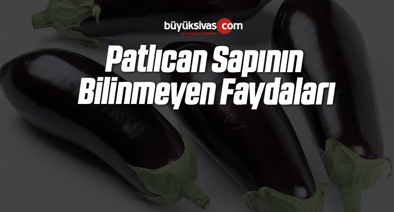 Patlıcan Sapının Bilinmeyen Faydaları