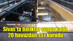 Sivas’ta balıklar susuz kaldı, 20 havuzdan 15’i kurudu