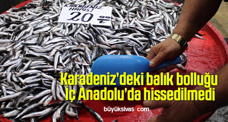 Karadeniz’deki balık bolluğu İç Anadolu’da hissedilmedi