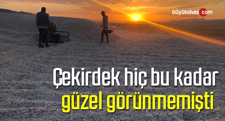 Çekirdek hiç bu kadar güzel görünmemişti