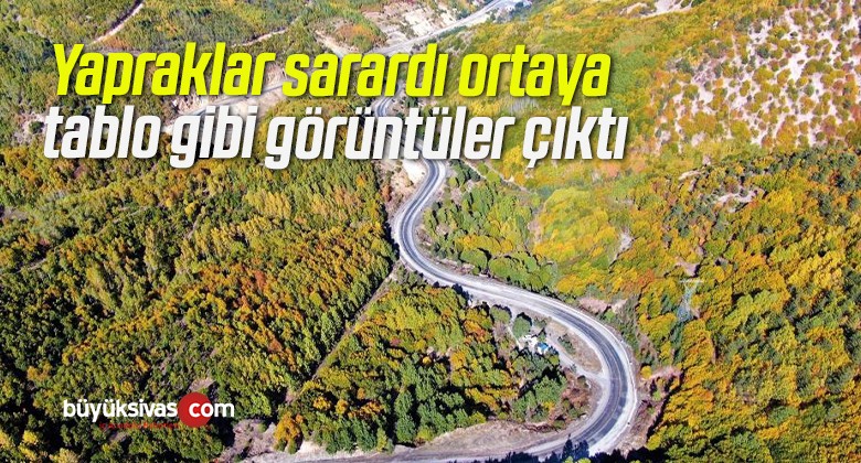 Yapraklar sarardı ortaya tablo gibi görüntüler çıktı