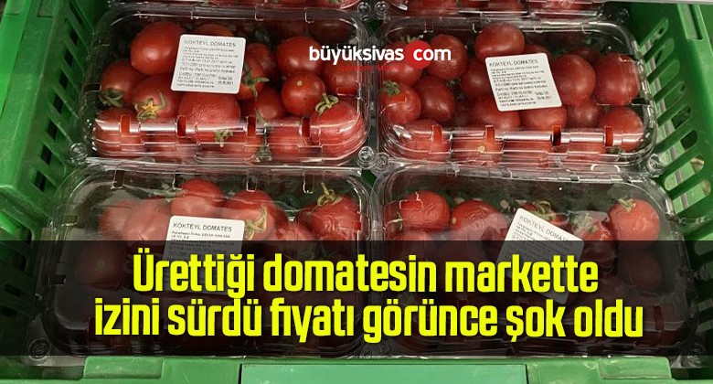 Ürettiği domatesin markette izini sürdü fiyatı görünce şok oldu