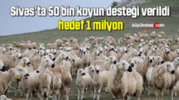 50 bin koyun desteği verildi, hedef 1 milyon