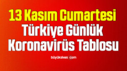 13 Kasım Cumartesi Türkiye Günlük Koronavirüs Tablosu