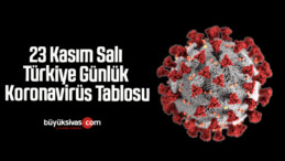 23 Kasım Salı Türkiye Günlük Koronavirüs Tablosu