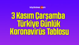 3 Kasım Çarşamba Türkiye Günlük Koronavirüs Tablosu