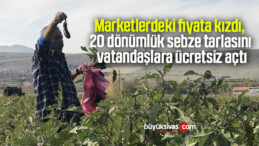 Marketlerdeki fiyata kızdı, 20 dönümlük sebze tarlasını vatandaşlara ücretsiz açtı