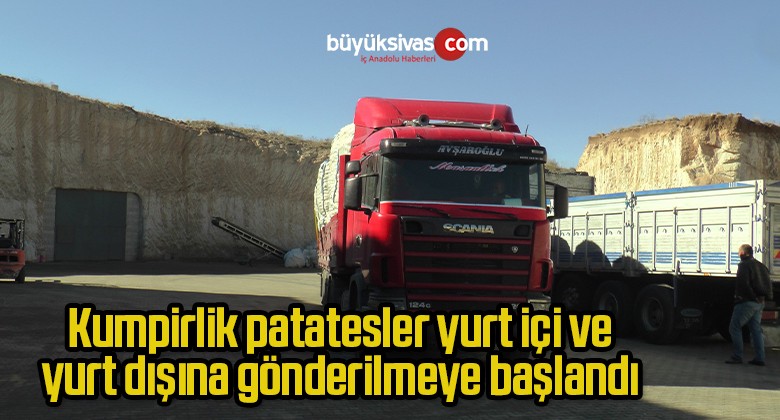 Kumpirlik patatesler yurt içi ve yurt dışına gönderilmeye başlandı