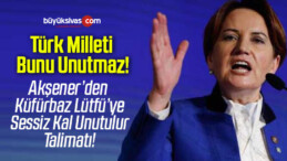 Meral Akşener’den Lütfü Türkkan’a sessiz kal talimatı