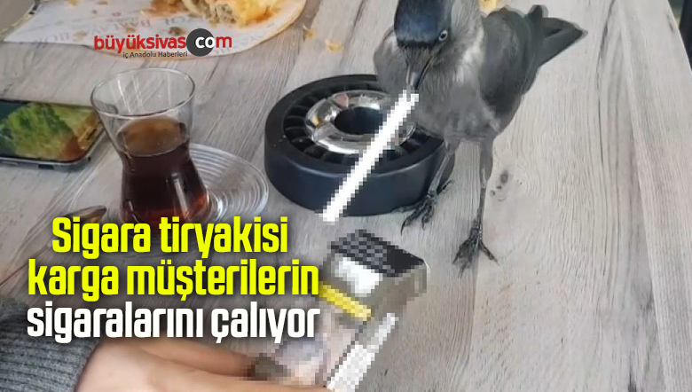 sigaralarını