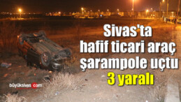 Hafif ticari araç şarampole uçtu, 3 yaralı