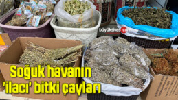 Soğuk havanın ‘ilacı’ bitki çayları