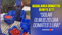 Domates fiyatlarındaki farklar çiftçiyi isyan ettirdi