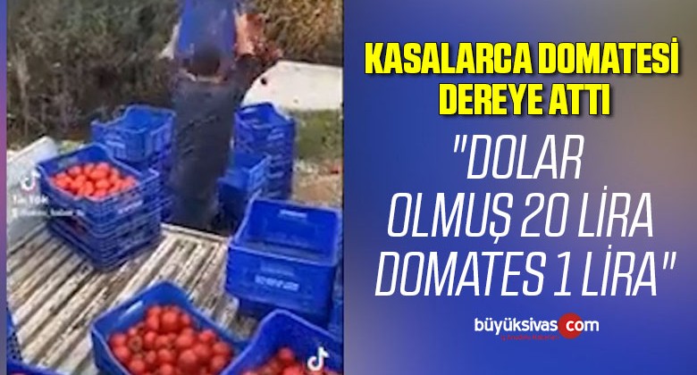 Domates fiyatlarındaki farklar çiftçiyi isyan ettirdi