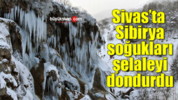 Sivas’ta Sibirya soğukları şelaleyi dondurdu