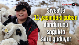 Sivas’ta 11 yaşındaki çoban dondurucu soğukta sürü güdüyor