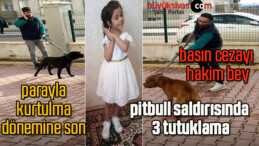 pitbull saldırısında 3 tutuklama