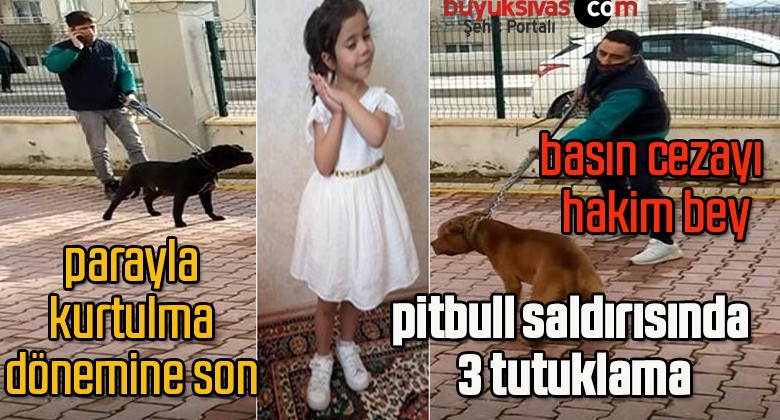 pitbull saldırısında 3 tutuklama