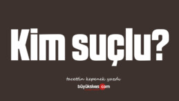 Kim suçlu?