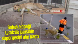 Temizlik işçisinin süpürgesini alıp kaçan sokak köpeği kamerada