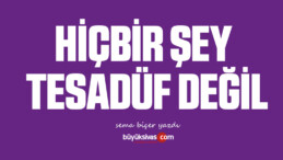 HİÇBİR ŞEY TESADÜF DEĞİL