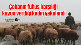 Çobanın fuhuş karşılığı koyun verdiği kadın yakalandı