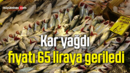 Kar yağdı, fiyatı 65 liraya geriledi