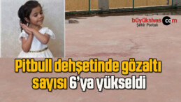 Pitbull dehşetinde gözaltı sayısı 6’ya yükseldi