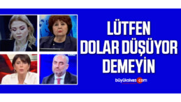 Döviz kurlarındaki düşüş, muhalif medyada yüzleri düşürdü