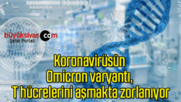 Koronavirüsün Omicron varyantı, T hücrelerini aşmakta zorlanıyor