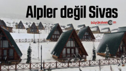 Alpler değil Sivas