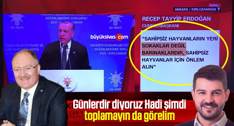 Cumhurbaşkanı Erdoğan’dan belediyelere sokak köpeği talimatı