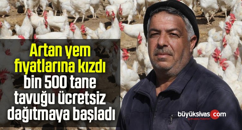 Artan yem fiyatlarına kızdı bin 500 tane tavuğu ücretsiz dağıtmaya başladı