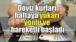 Döviz kurları haftaya yukarı yönlü ve hareketli başladı