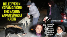 Sokak köpekleri onu kornasından tanıyor! 80 köpeğe bakıyor