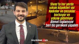 Sivas’ta her yerde olan sokak köpekleri görüldüğünde ne yapılmalı?