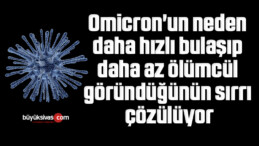 Omicron’un neden daha hızlı bulaşıp daha az ölümcül göründüğünün sırrı çözülüyor