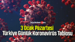 3 Ocak Pazartesi Türkiye Günlük Koronavirüs Tablosu