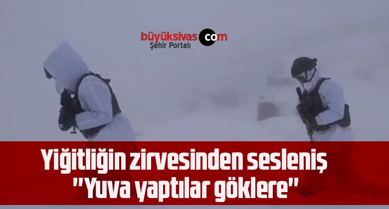 Yiğitliğin zirvesinden sesleniş ”Yuva yaptılar göklere”