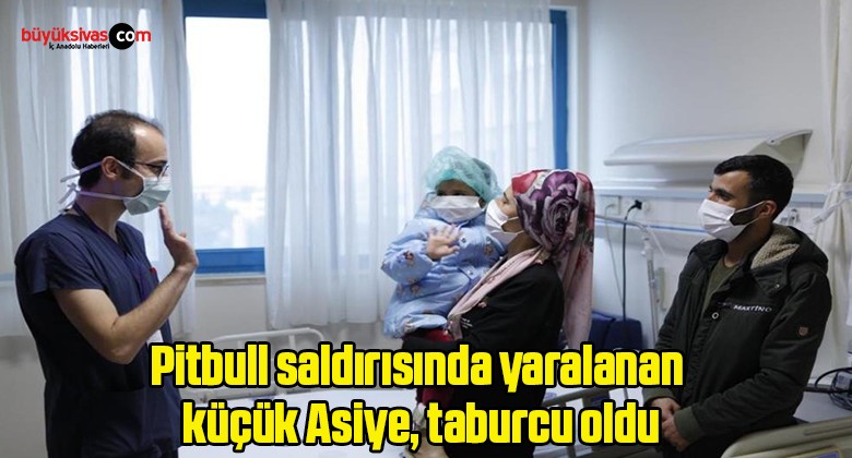 Pitbull saldırısında yaralanan küçük Asiye, taburcu oldu