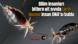 Bilim insanları bitlere ait sıvıda tarih öncesi insan DNA’sı buldu