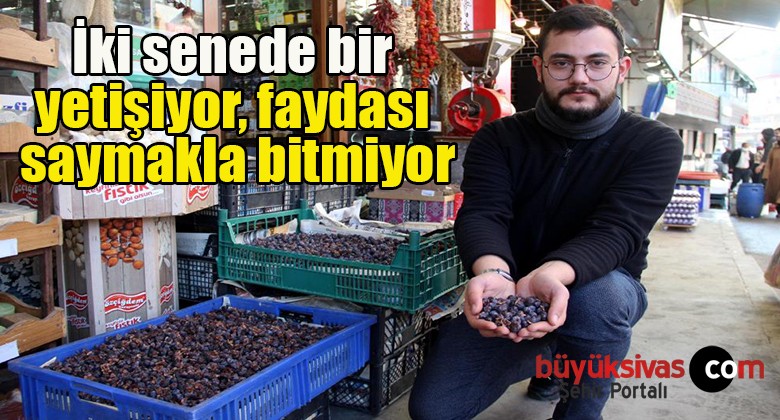 İki senede bir yetişiyor, faydası saymakla bitmiyor