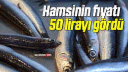 Hamsinin fiyatı 50 lirayı gördü