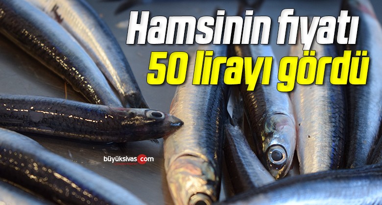 Hamsinin fiyatı 50 lirayı gördü