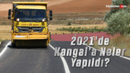 Geride Kalan 2021 Yılında: Kangal